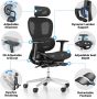 PatioMage Ergonomic Mesh Office Chair