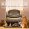 Automatic Self-Cleaning Litter Boxes: A Detailed Comparison and Benefits Analysis