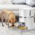 Automatic Pet Feeder – Food Dispenser for pets