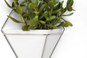 Umbra Home Vases, with Multi-Colour